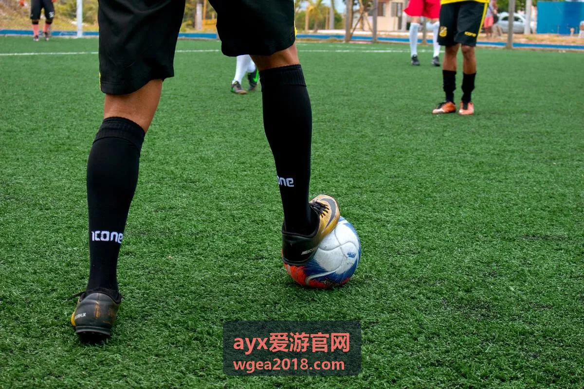 ayx爱游官网会员服务支持频道对应的服务场景
