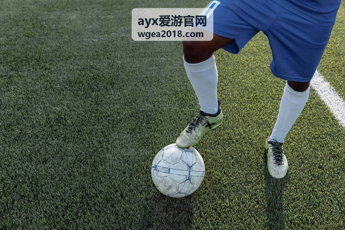 ayx爱游官网会员服务支持中的账号信息核对场景